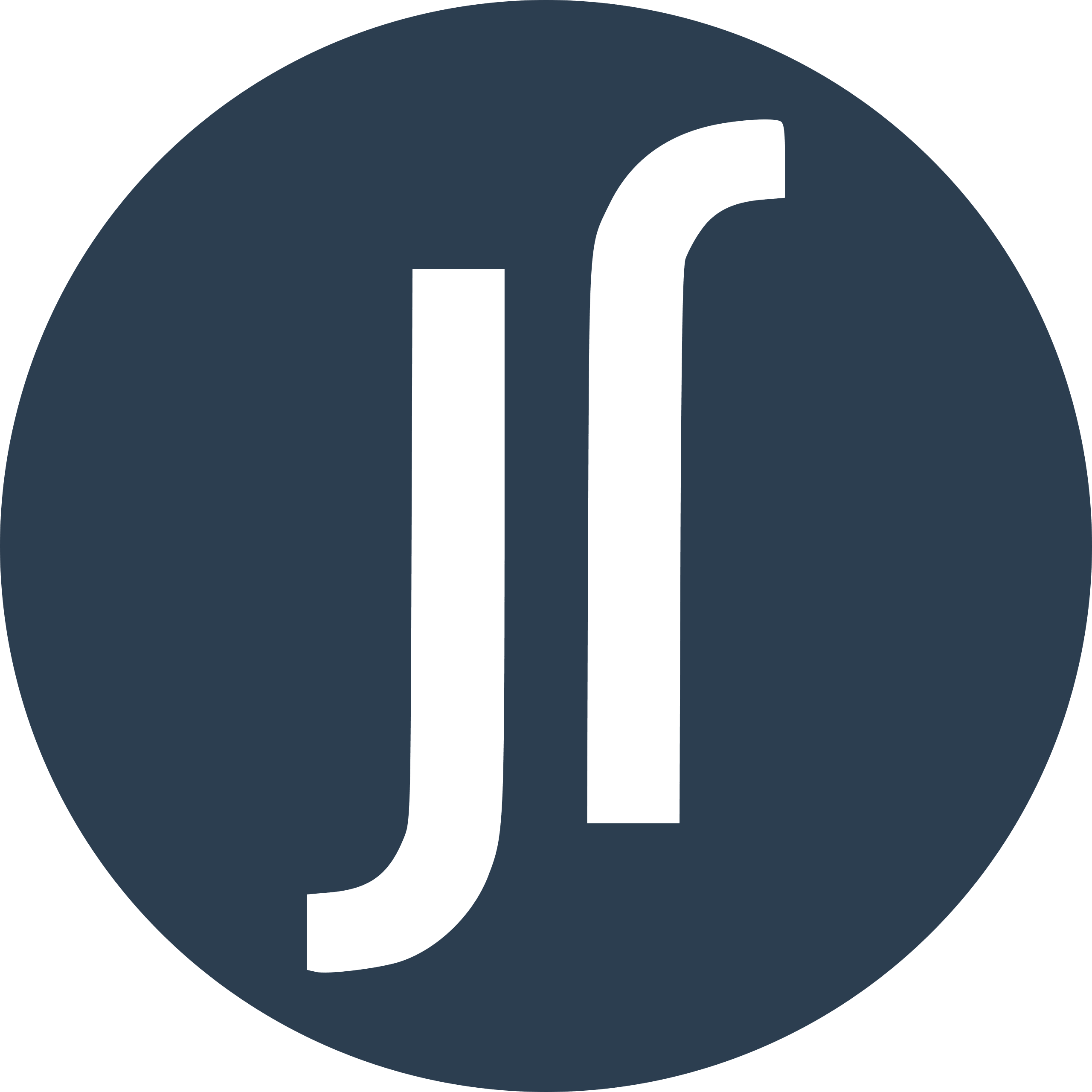 Julien Laroche, Logotype